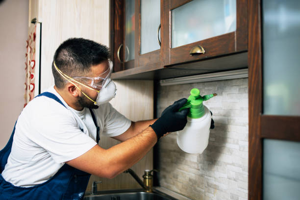 Forest Heights, MD Pest Control Company